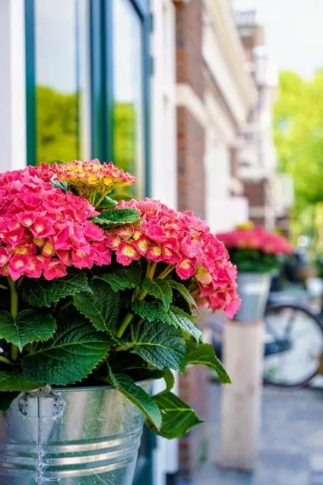 Laatste planontwikkeling Vroondaal