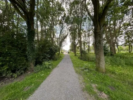 Rondwandeling Highlights herinrichting Landschapspark Madestein