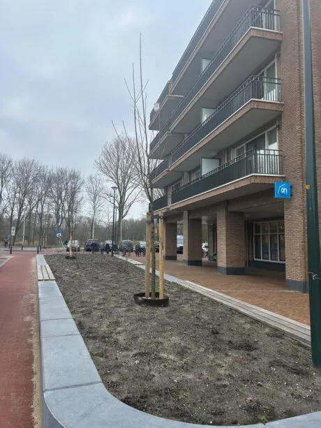 Afronding inrichting buitenruimte Voorzieningencluster
