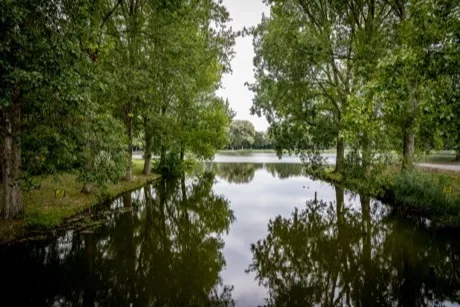 Werkzaamheden brug en vlonders Landschapspark Madestein